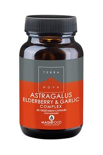 Astragalus elderberry garlic terranova large