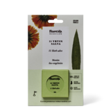 11 yrtin salva 2840x2840px 800x800