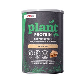 Iconfit plant protein   apple pie 480g